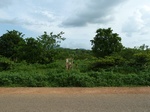 18660P1000498.JPG