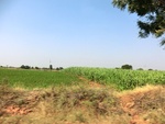 56464CIMG8017.JPG