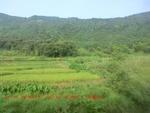 38997CIMG1535.gps.jpg