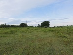 24882DSC01098.JPG