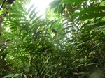 45582CIMG2667.JPG