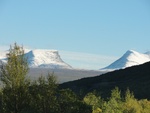 43115DSC00365.JPG