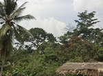 49599CIMG5936.JPG