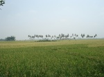21836DSC08418.JPG