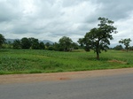 18814P1000653.JPG