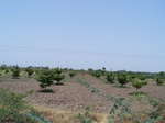 1764122042008(21).JPG