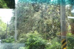 2024-11-21_16-12-49_2C0D8FCD-F7CA-46A7-9F4A-980AA1BC608F.jpeg