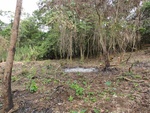 46639DSC01972.JPG