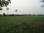 21911DSC08508.JPG