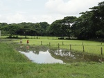 21992DSC00103.JPG