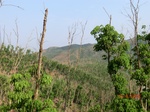 53490CIMG6827.JPG