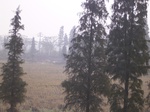 3091 024.jpg