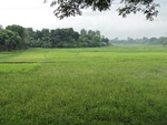 21943DSC00195.JPG
