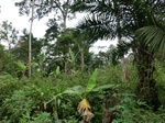 45984CIMG0273.JPG