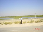 6535gt046-wetland-2.jpg