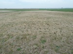 29230LAHO20110411N.JPG
