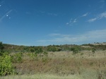 34913DSC01815.JPG
