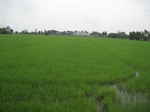28337IMG_5191.JPG