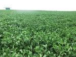 2012-08-30_11-29-34_CIMG2076.JPG