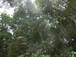 47967CIMG4304.JPG