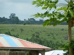 18220P1000056.JPG
