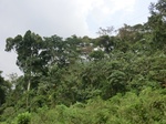 49812CIMG6149.JPG