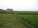 14997IMG_3807.JPG