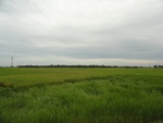 26123DSC01164.JPG