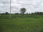 33284IMG_5614.JPG