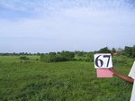 1055667-cropland-rice-faalllow-a.gif