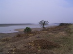 2526 102.jpg