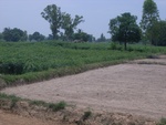 34605RIMG0071.JPG