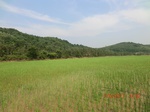 53868CIMG2501.JPG