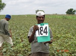 126740184c-rainfed-agriculture-millet-dominant-cotton-greengram.gif