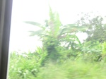49590CIMG5927.JPG