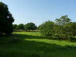 19401P1010248.JPG