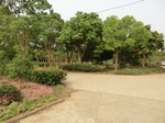 53778CIMG0244.JPG