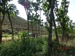 53295CIMG6565.JPG