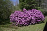 210IMG_4106.JPG