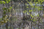 284IMG_4180.JPG