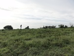 24883DSC01099.JPG