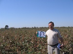 7993013-irrri-cotton-sw-1b.jpg