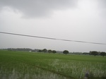 14466IMG_4823.JPG