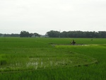 22099DSC00340.JPG
