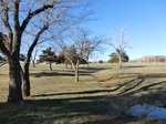 43150CIMG0179.JPG