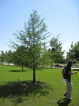 8729IMG_3896.JPG