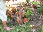 31858IMG_5450.JPG