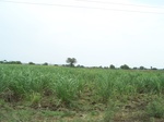 1688802052008(47).JPG