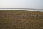 4190IMG_8828.JPG