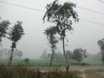 40098CIMG9164.JPG